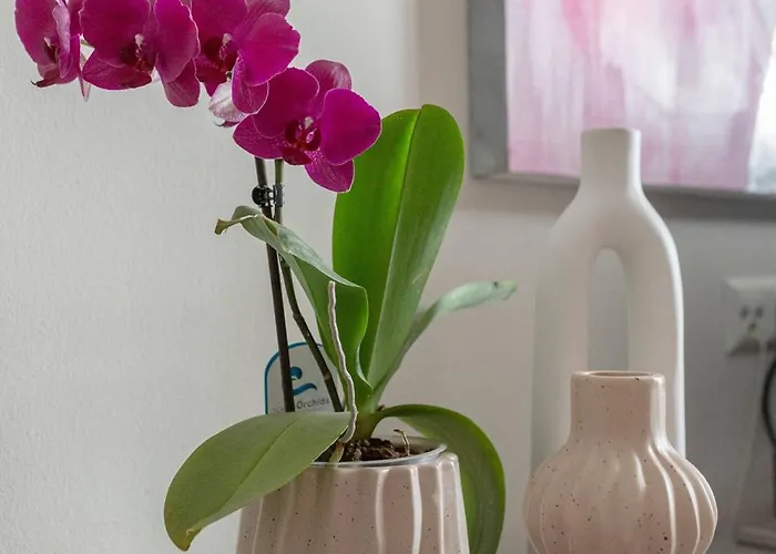 Apartment Apartma Rozeta